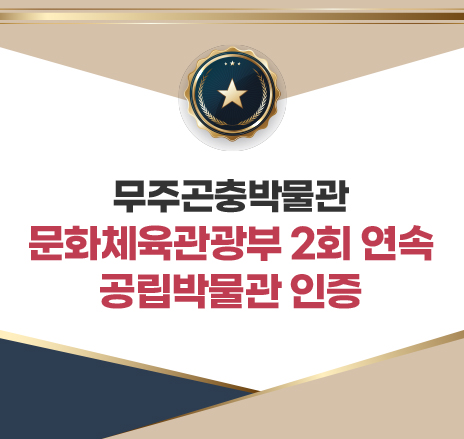 무주곤충박물관
문화체육관광부 2회 연속 공립박물관 인증