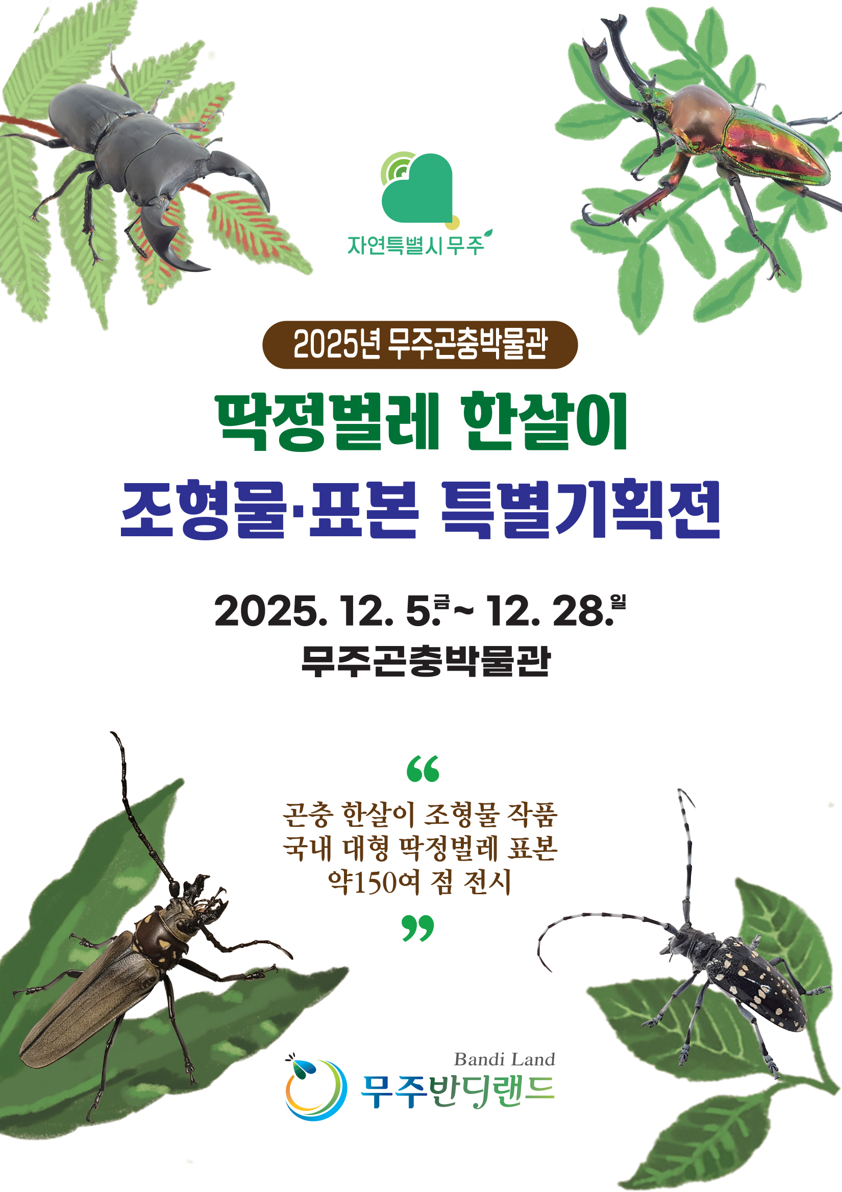 2025년 무주곤충박물관 딱정벌레 한살이 조형물표본 특별기획전