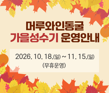 가을성수기 안내