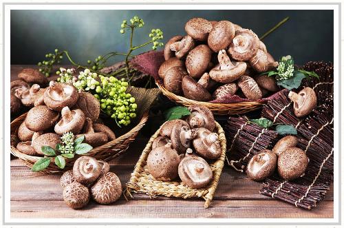 [무주농장 에덴] 표고버섯 2kg 특상